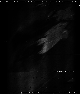 ascat_grayscale_ch6.png